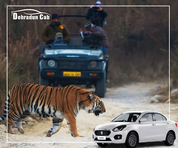 Dehradun to Jim Corbett Cab Service Dehradun to Jim Corbett Cab
